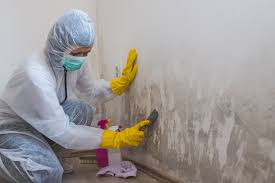 Mold Remediation for Rental Properties in Hughes Springs, TX